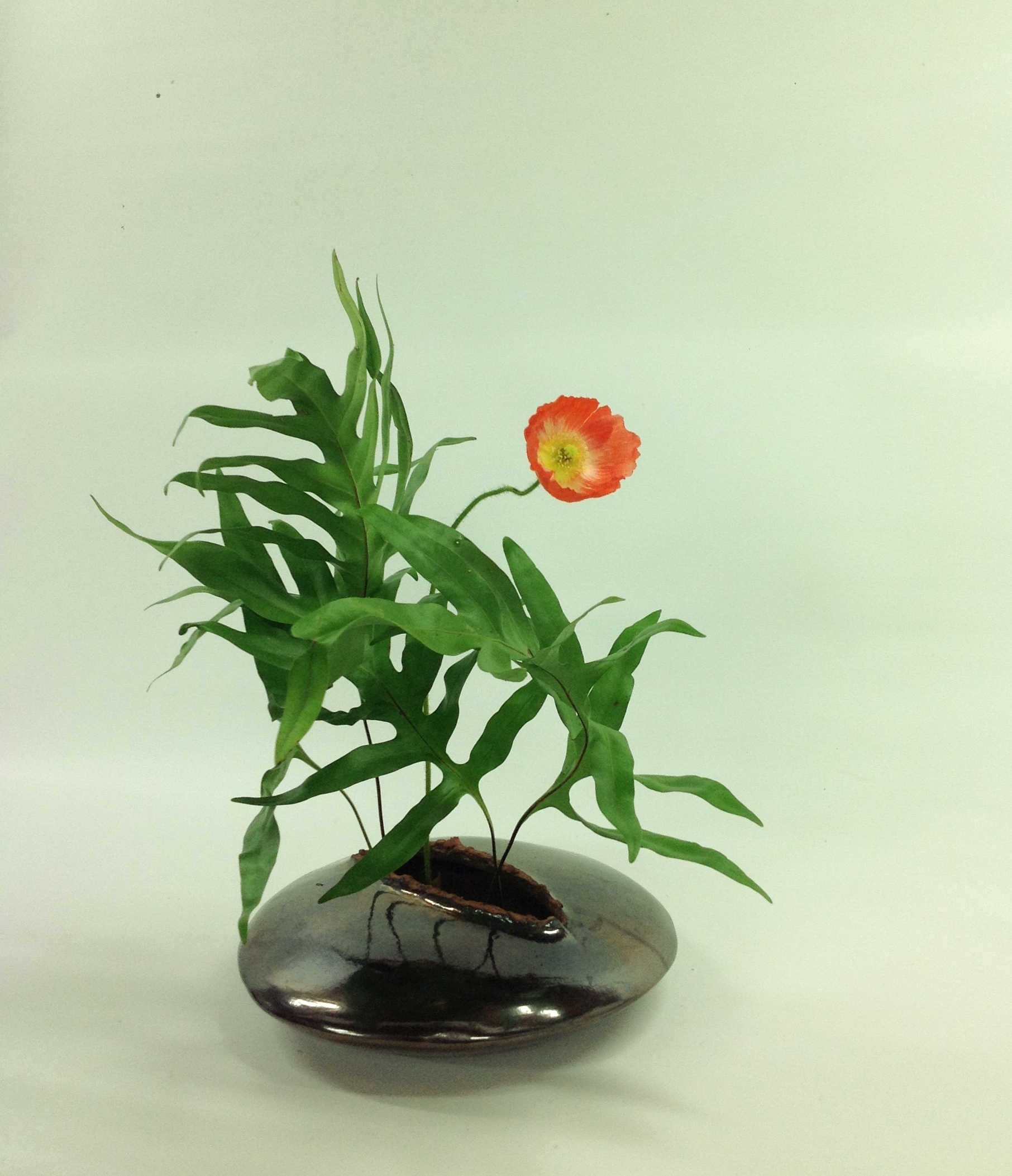 Pat's Ikebana - Sogetsu - Training and Classes in a modern form of the ...